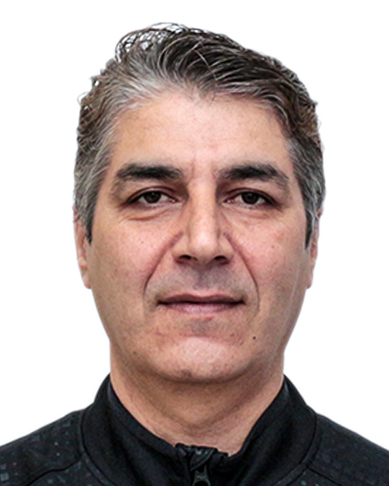 17600276588d2d9724af-your-file-coach-Morteza-pic.jpg